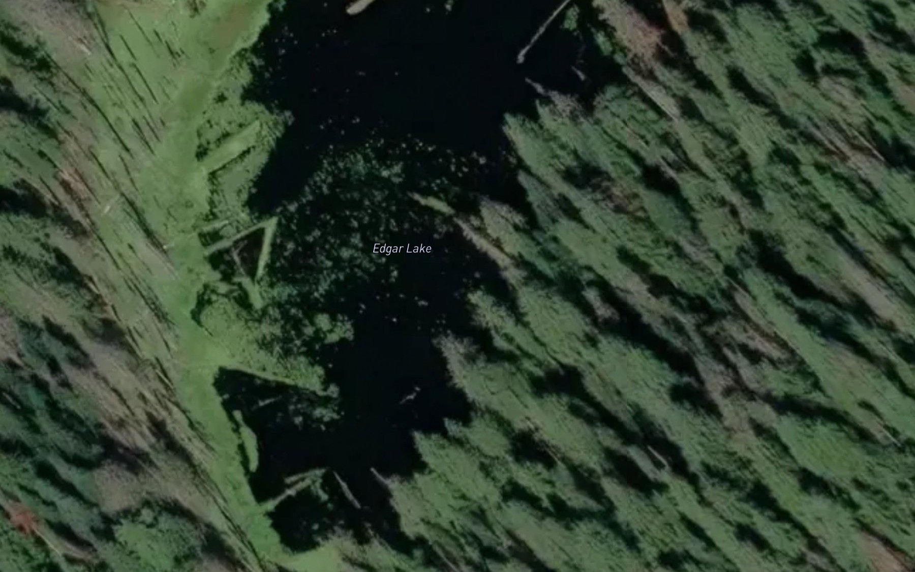 Satellite map of the Edgar Lake
