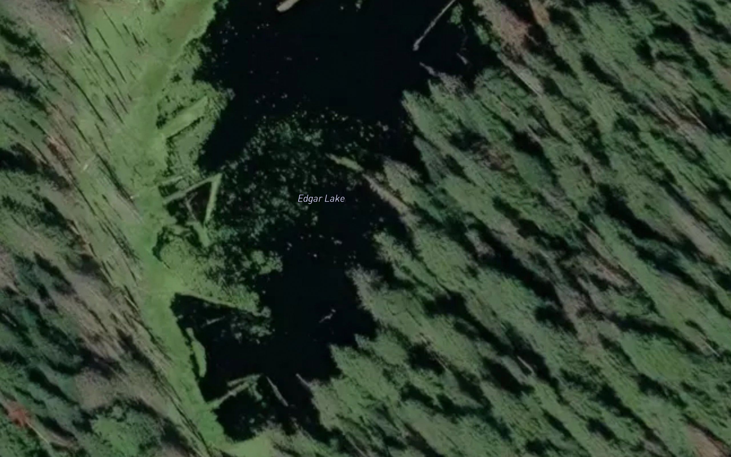 Edgar Lake