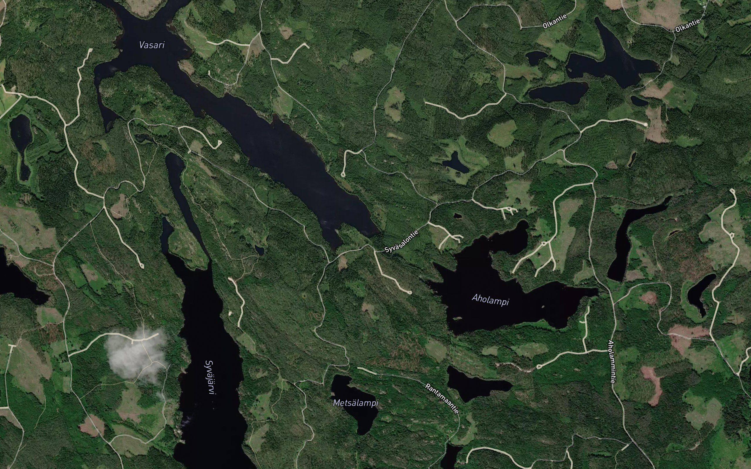 Mustaoja