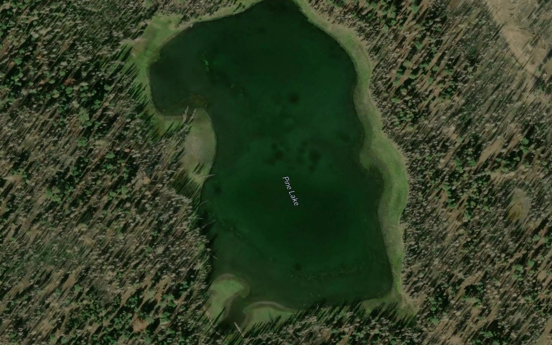 Satellite map of the Pine Lake
