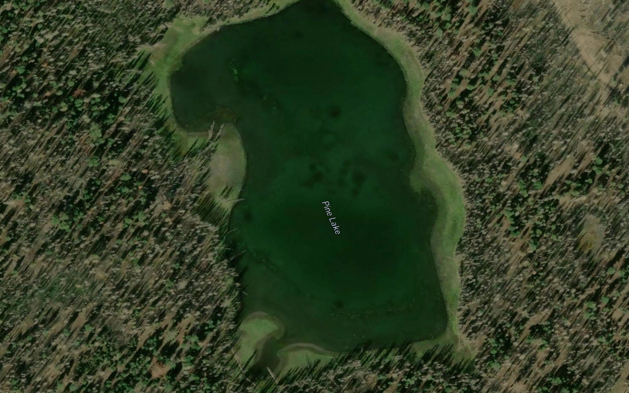 Pine Lake
