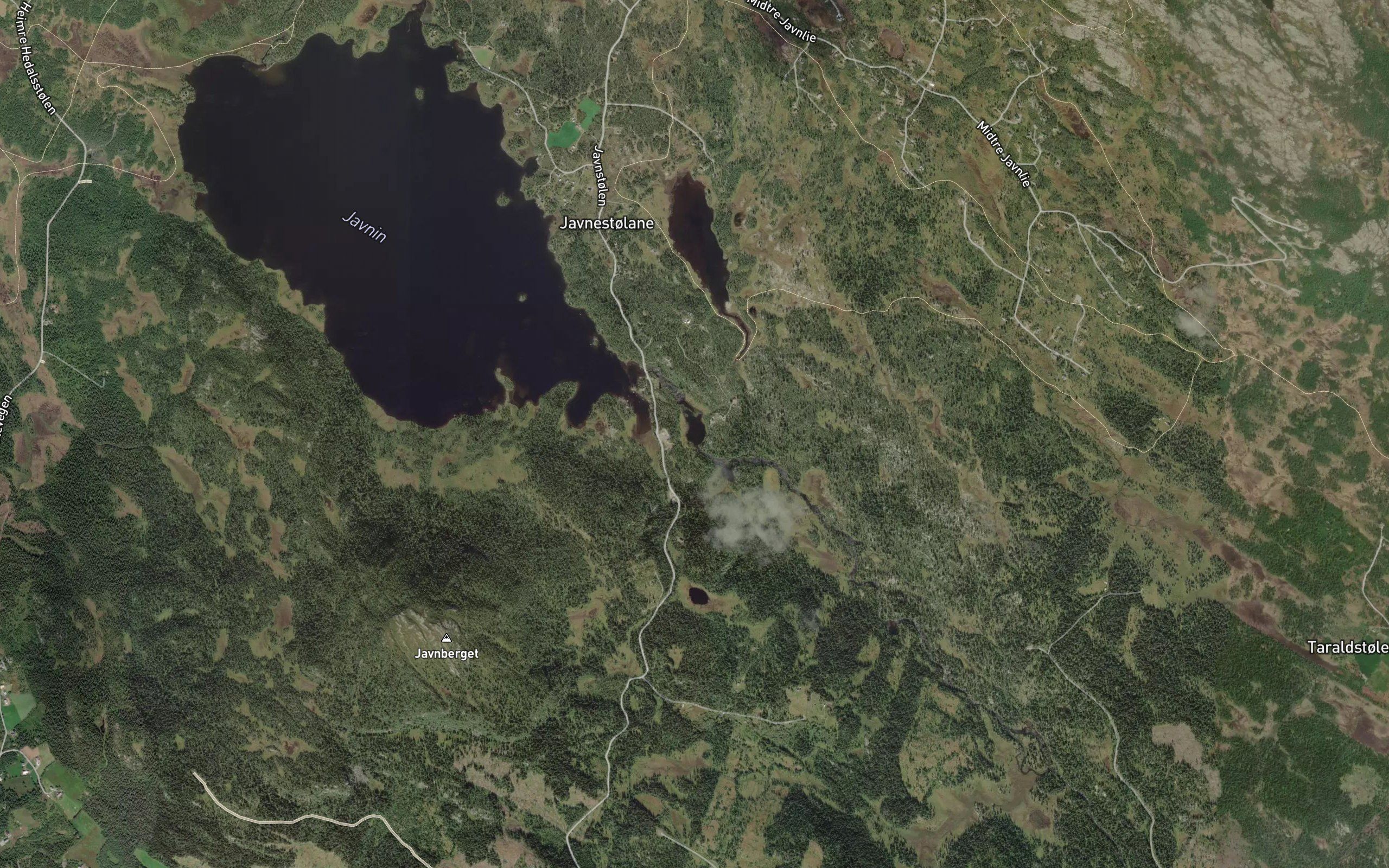 Atjednet