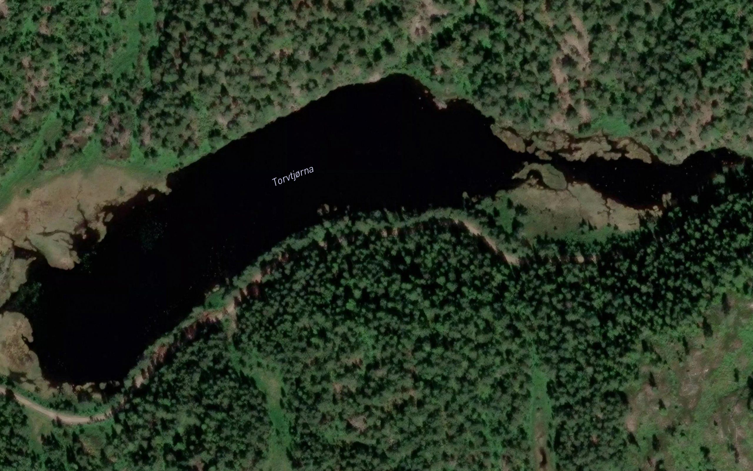 Torvtjorna