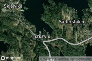 Plassavika