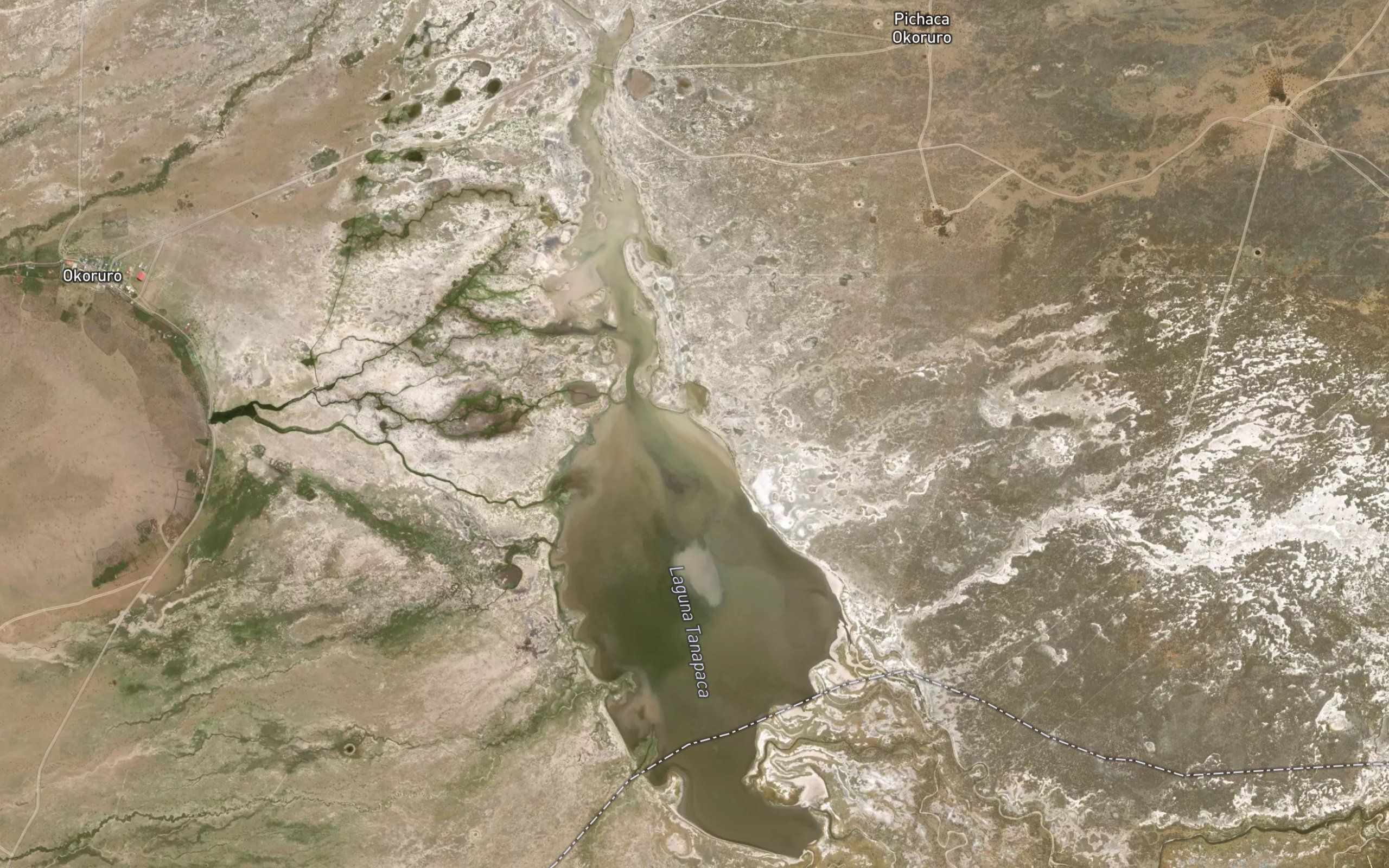 Laguna Tanapaca