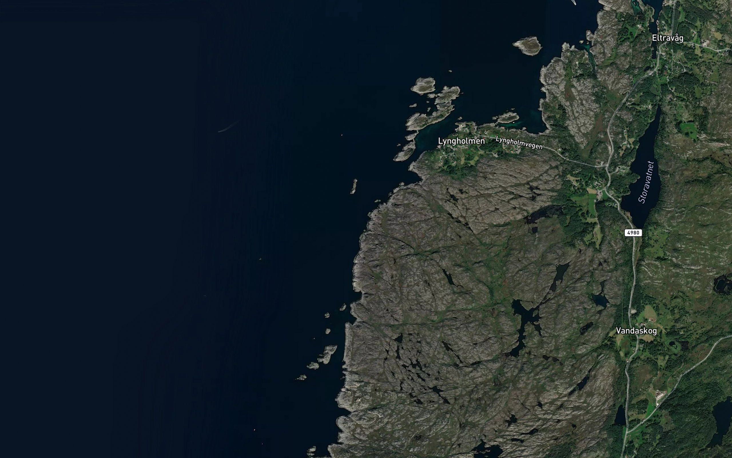 Kvinnsvika