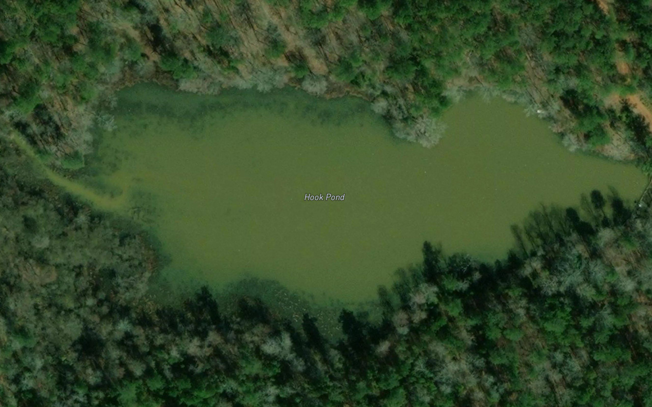 Hook Pond