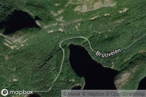 Vassbukta