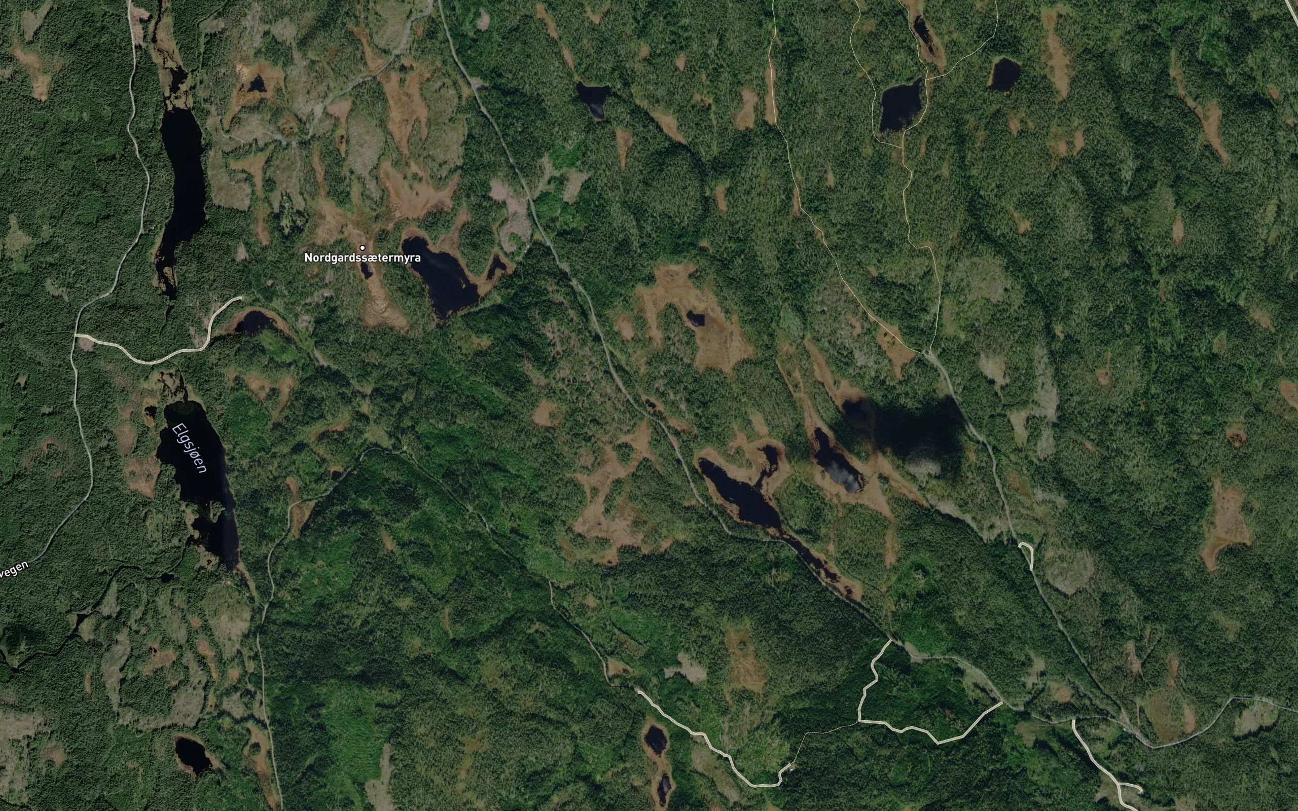 Klyptjennet