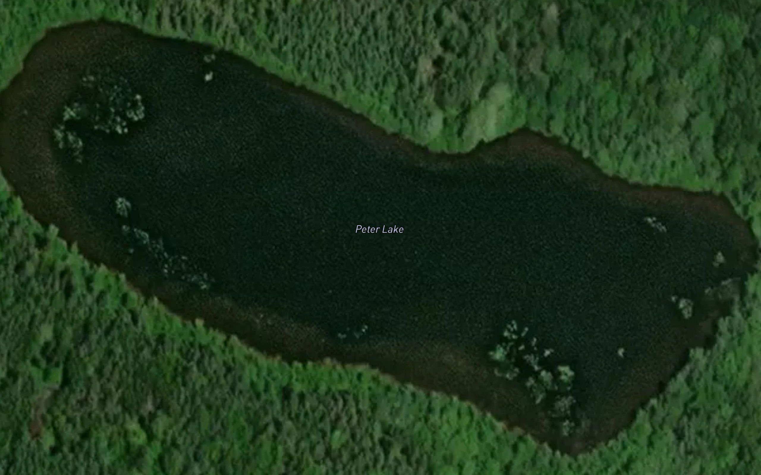 Peter Lake