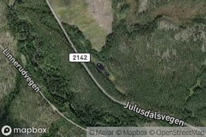 Jensgangtjernet