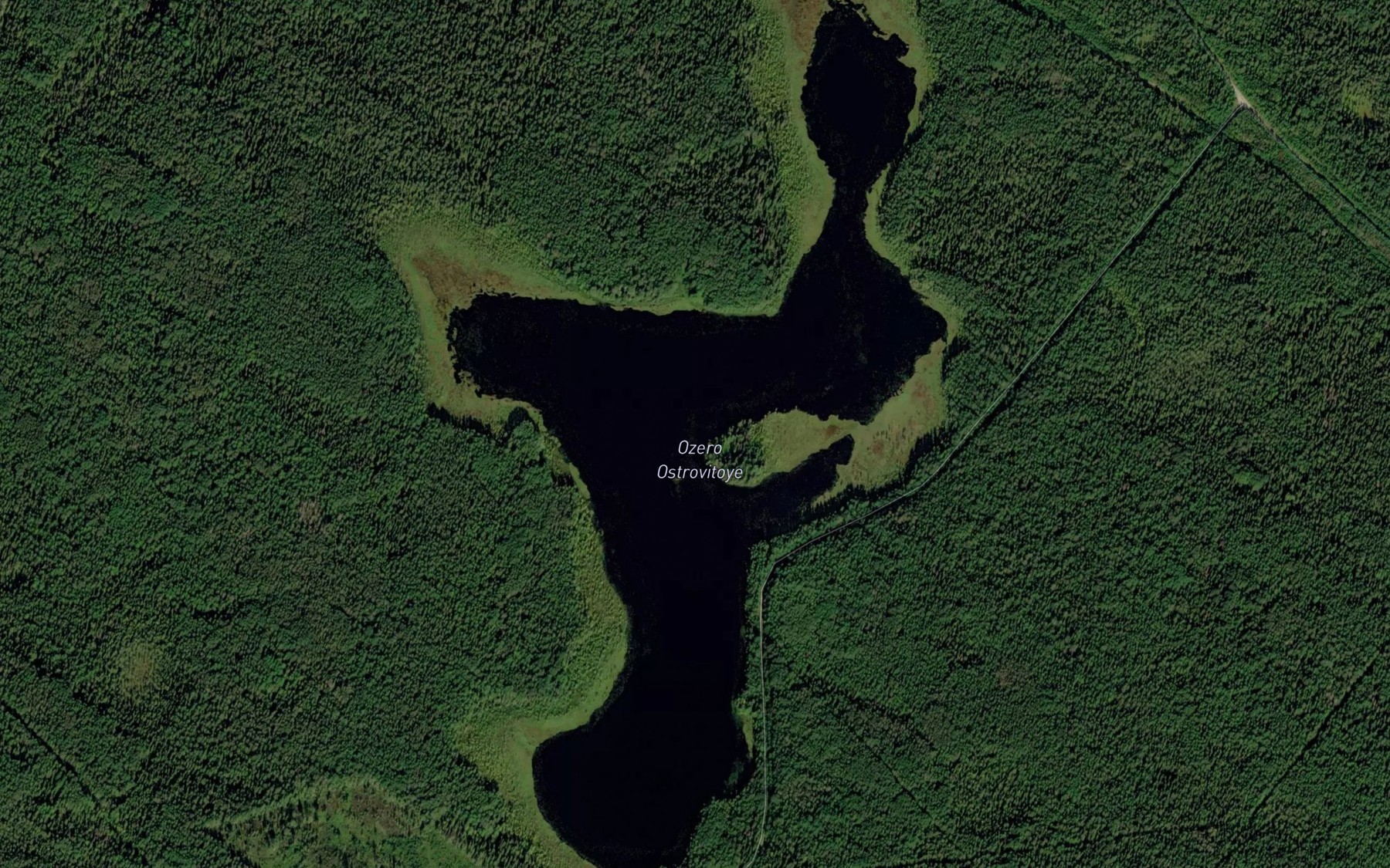 Satellite map of the Ozero Ostrovitoye