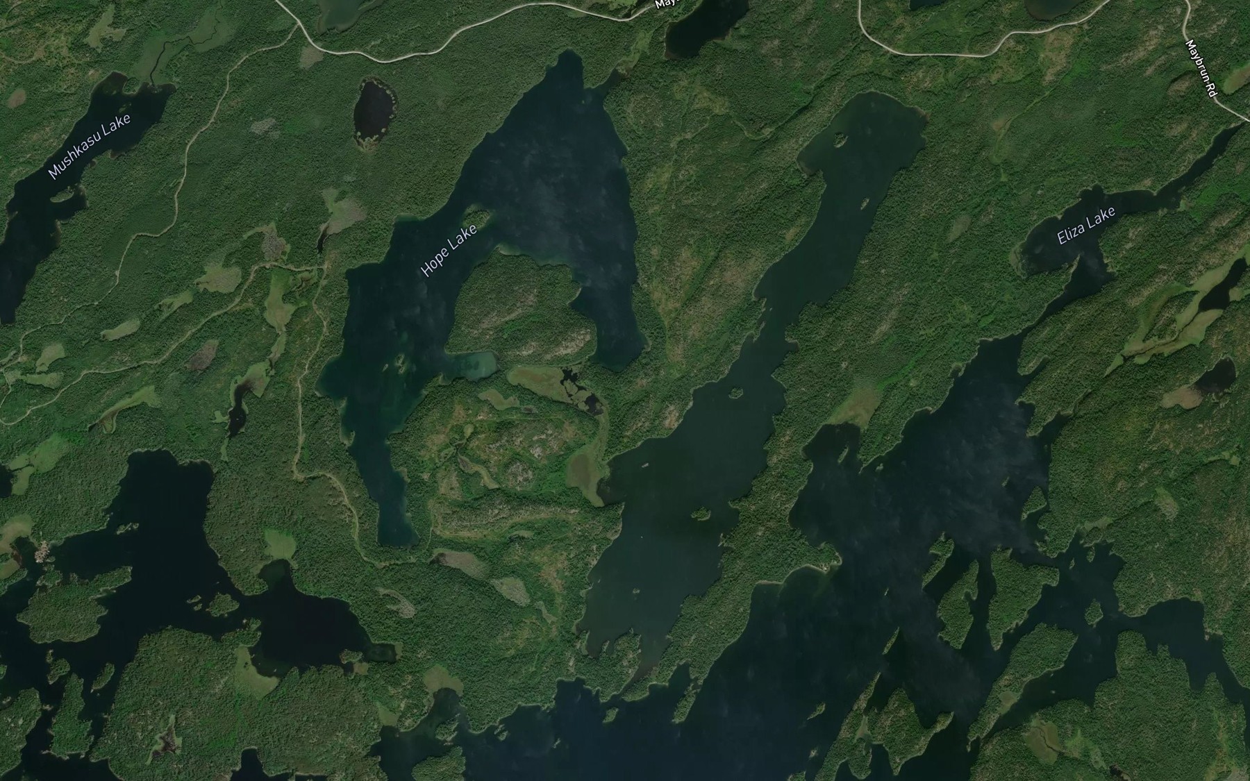 Satellite map of the Hope Creek