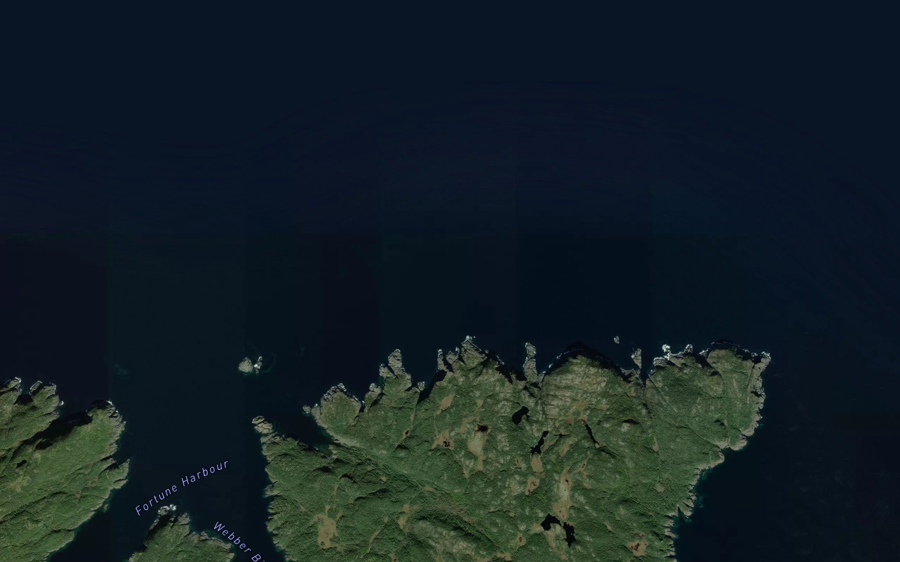 Satellite map of the Caplin Cove