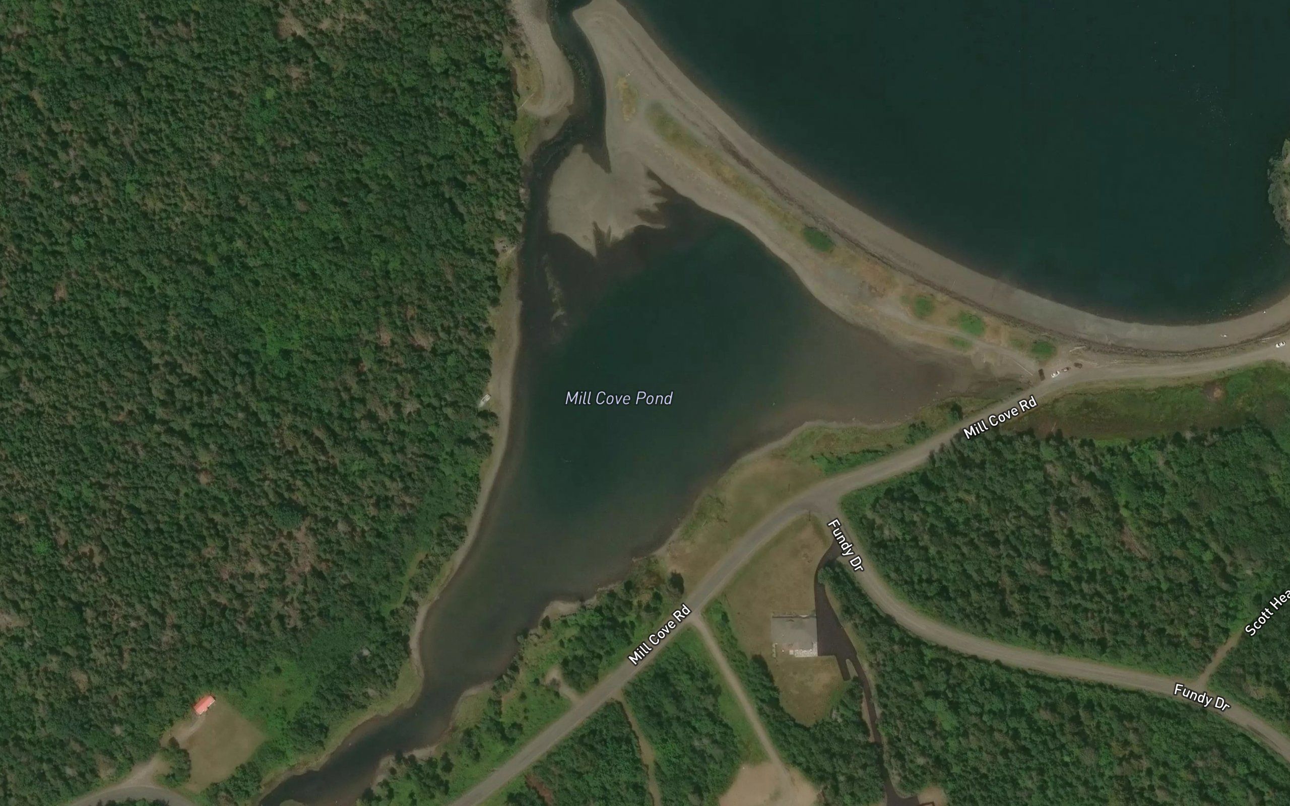 Mill Cove Pond