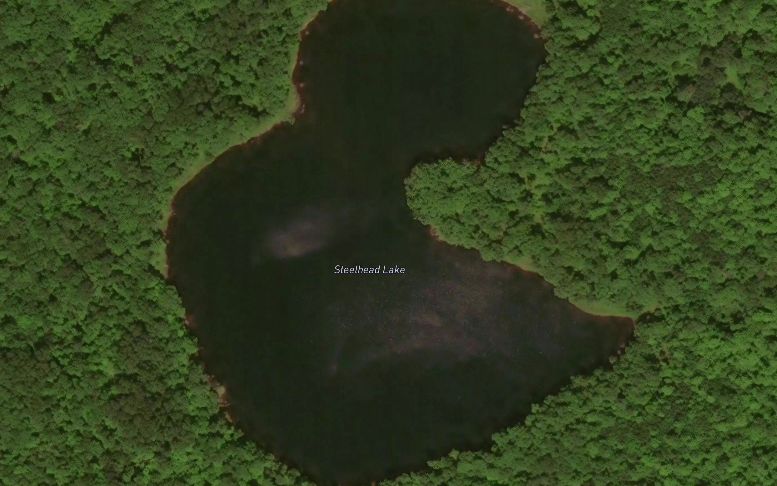 Steelhead Lake