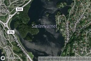 Saelevatnet