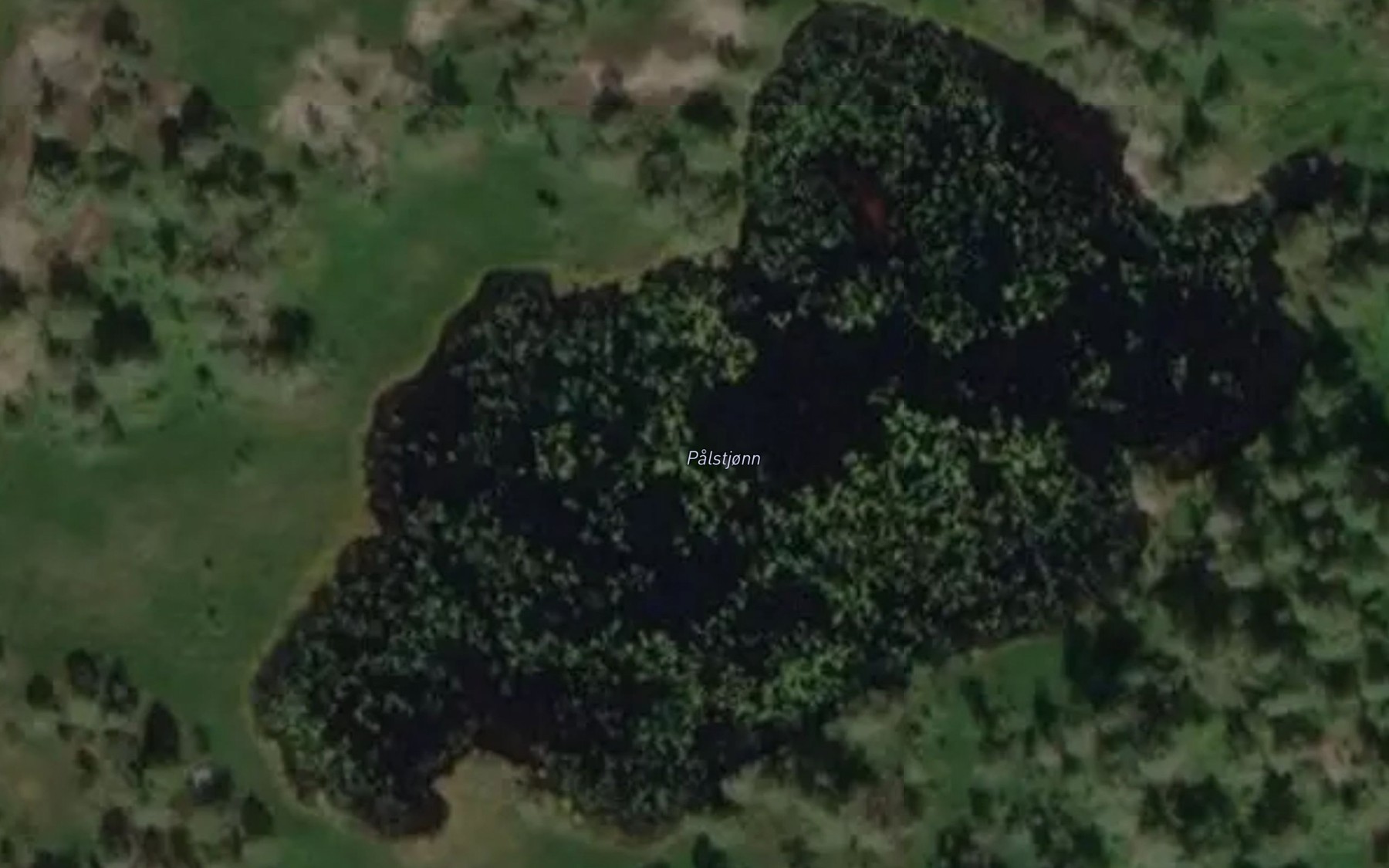 Satellite map of the Palstjorn