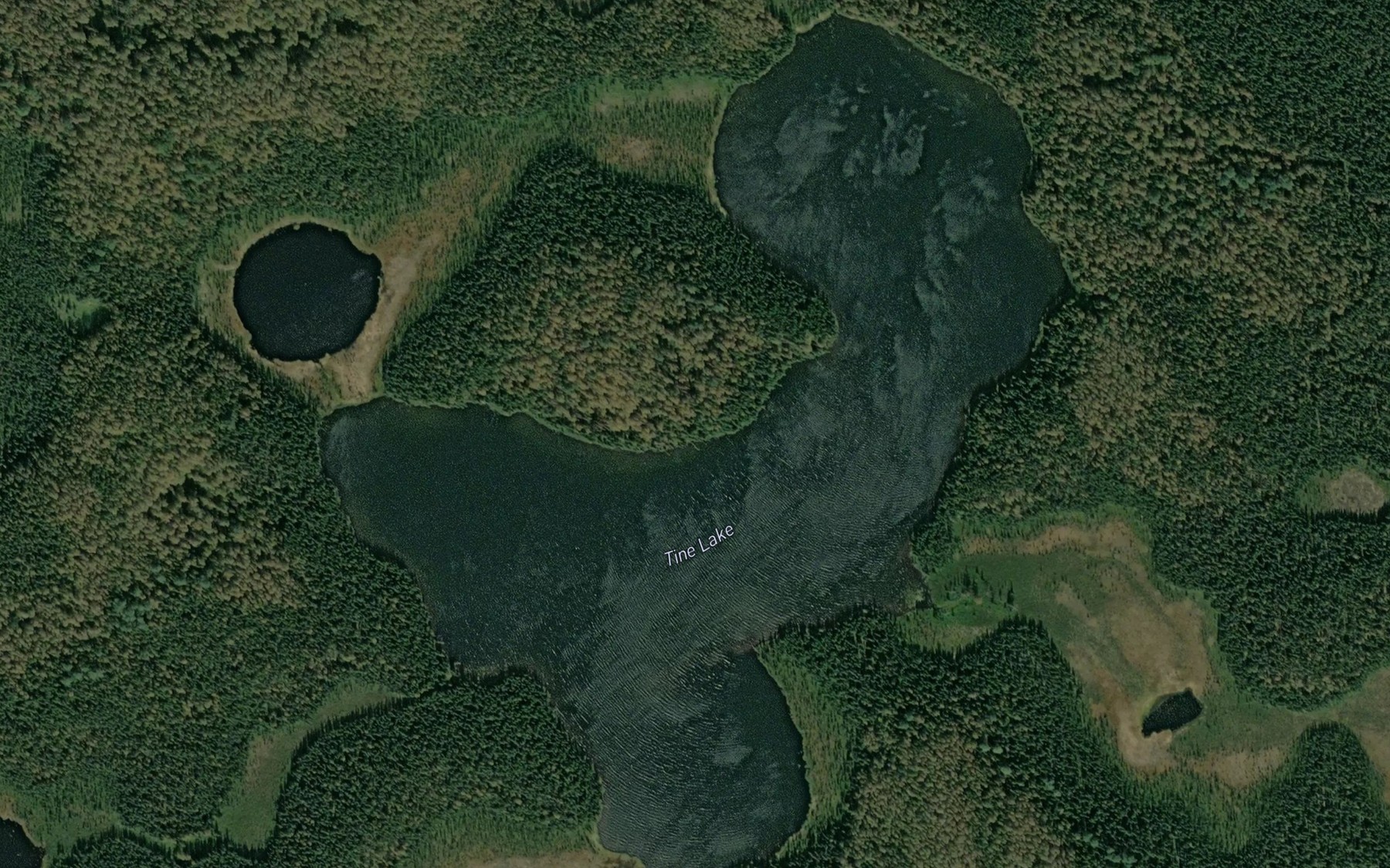 Satellite map of the Tine Lake