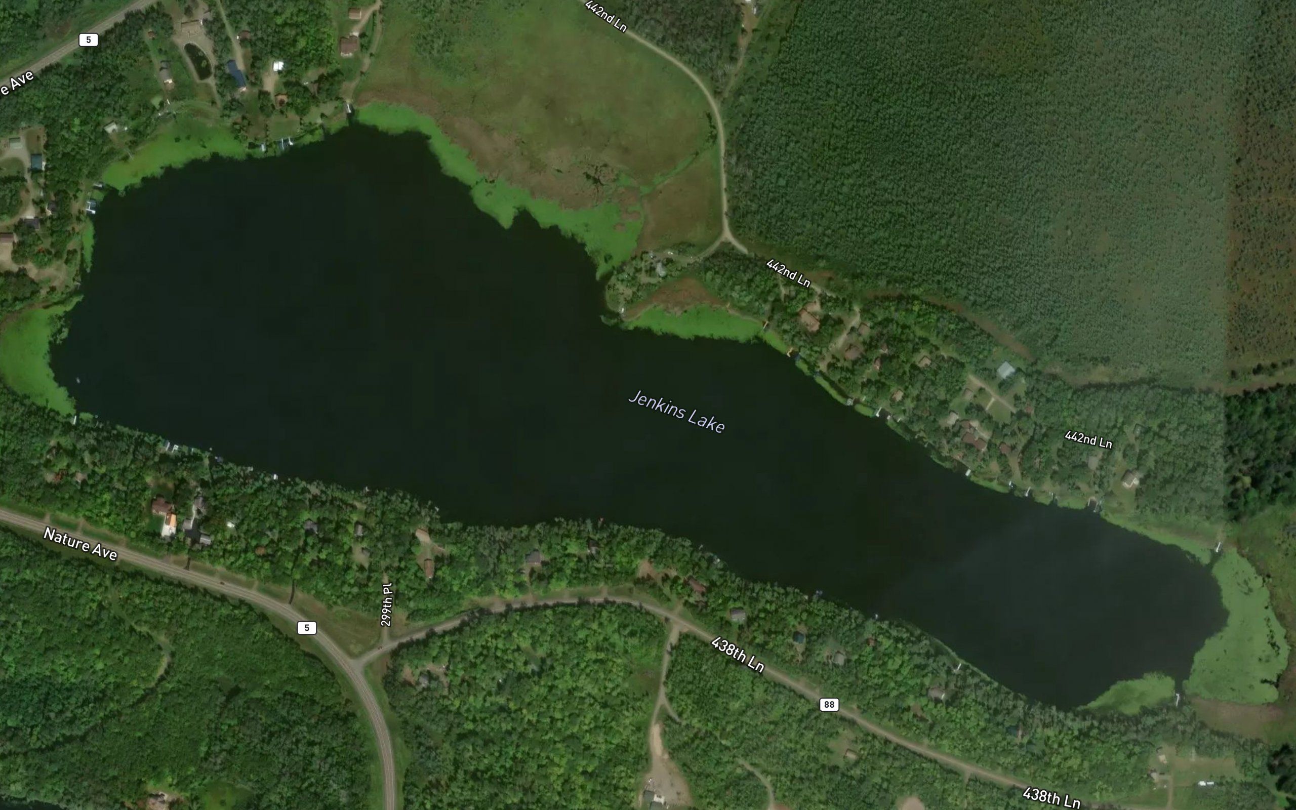 Jenkins Lake