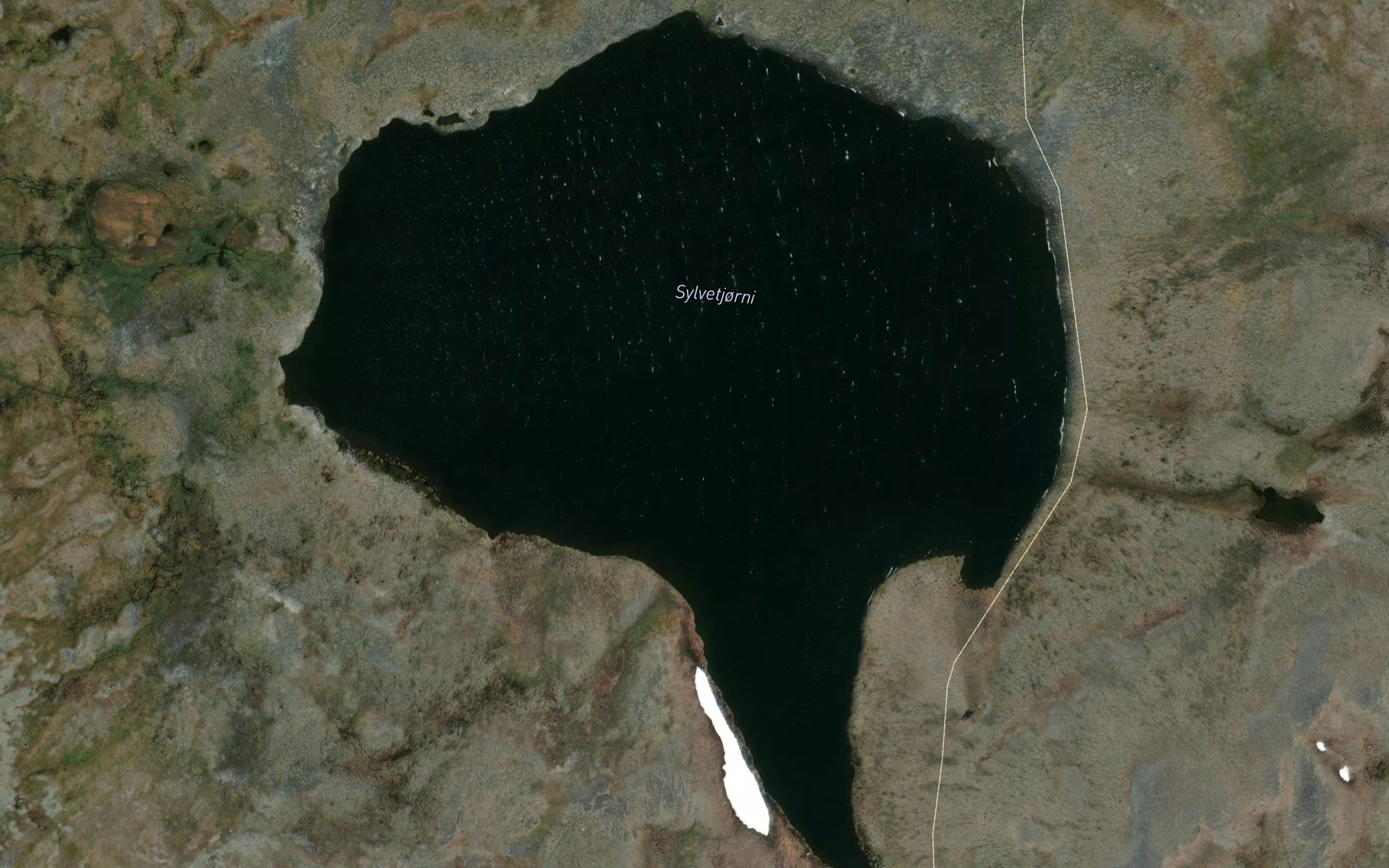 Sylvetjonni