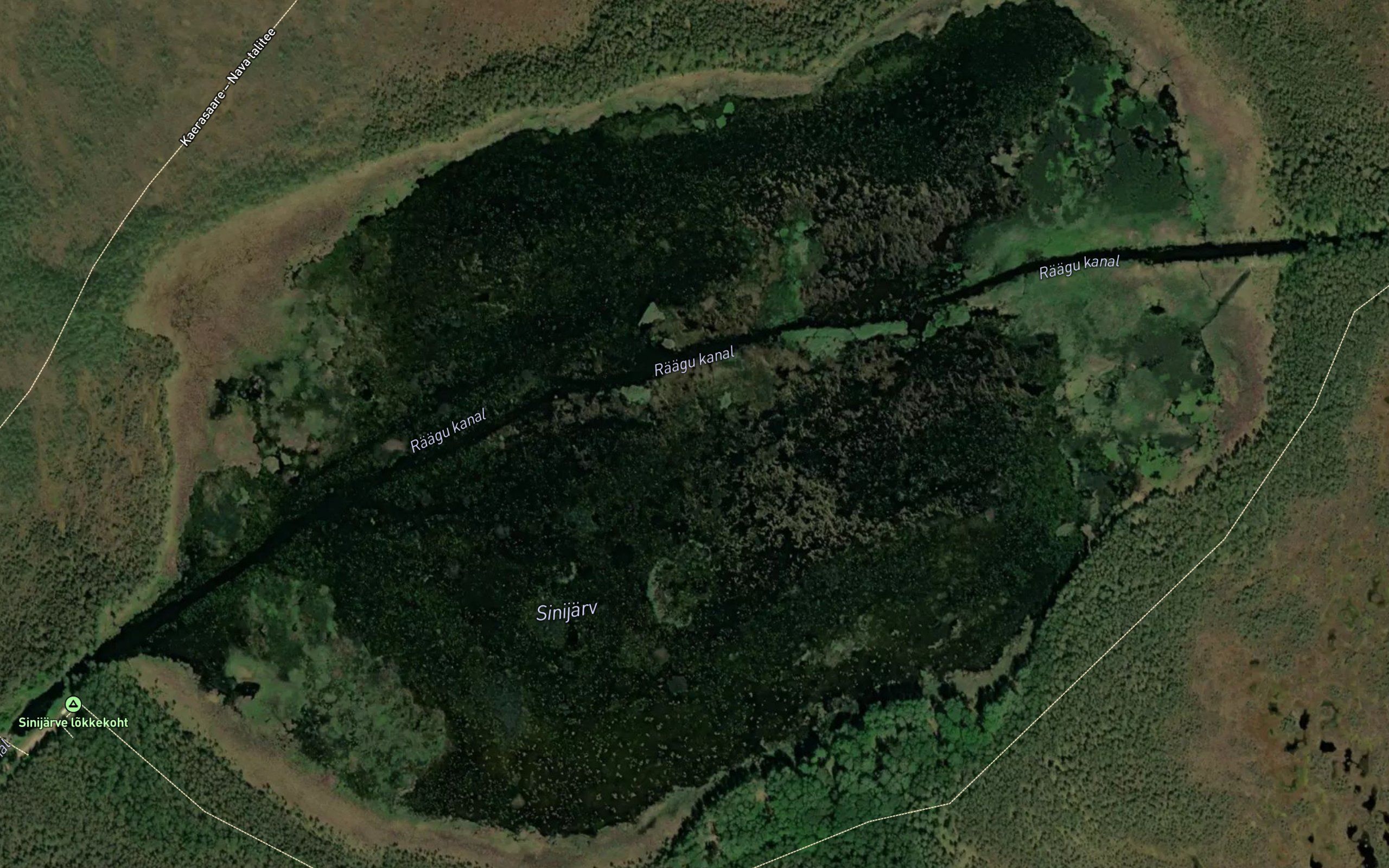 Sinijarv
