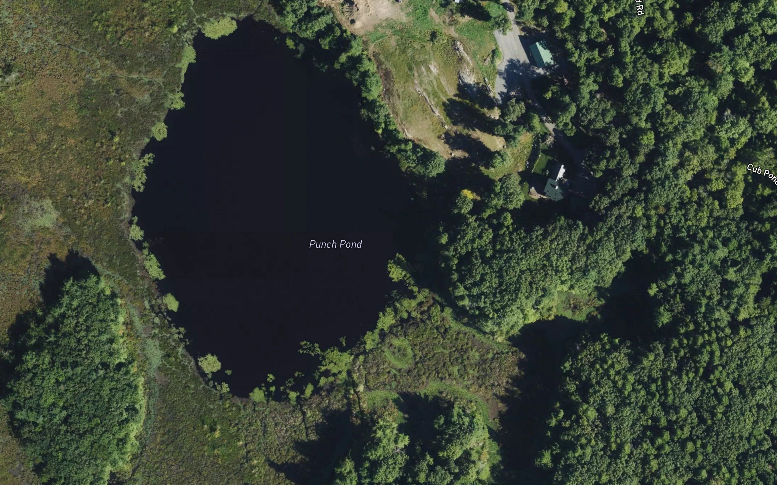 Punch Pond