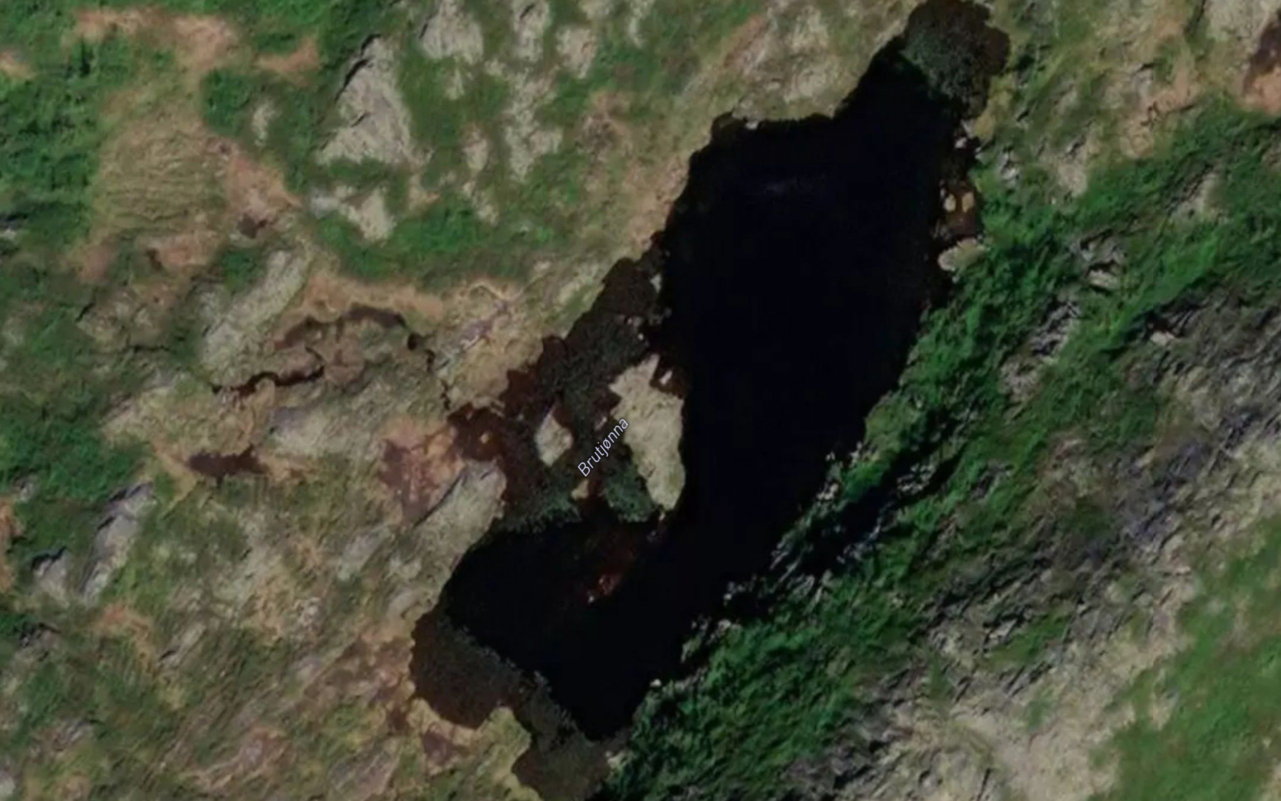 Brutjorna
