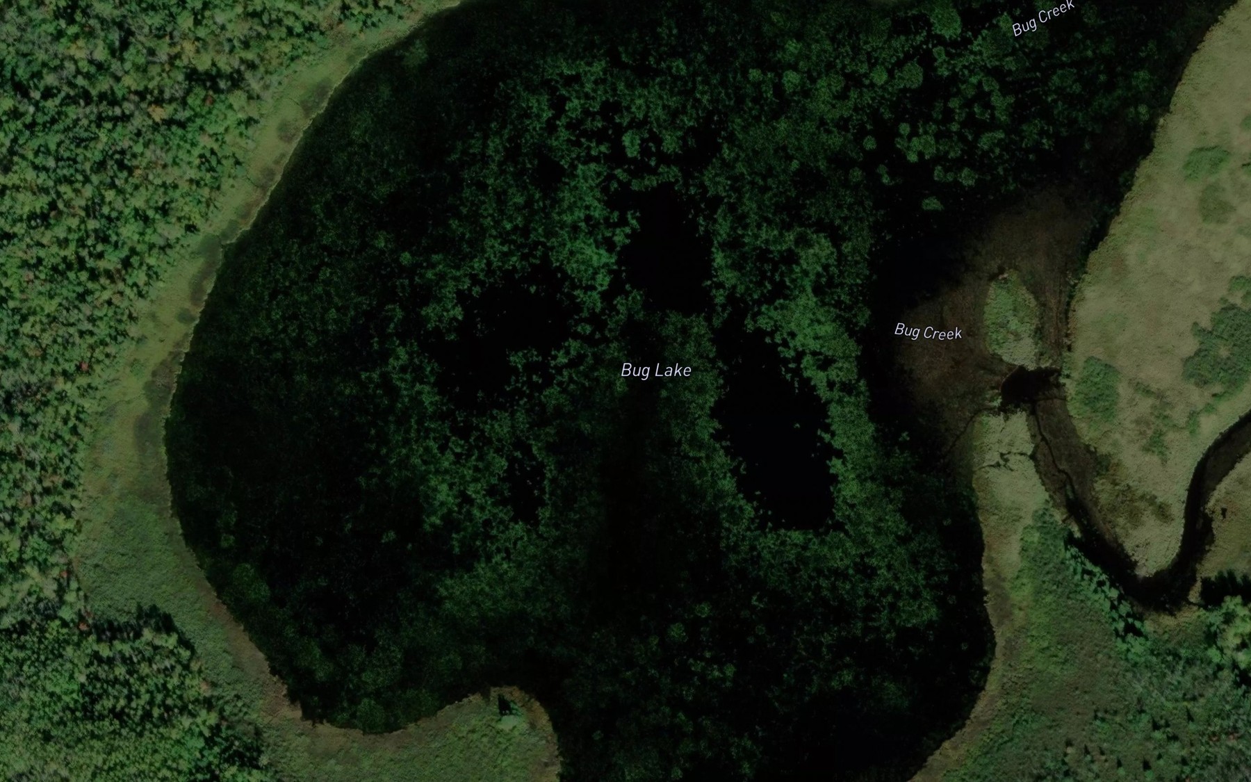 Satellite map of the Bug Lake