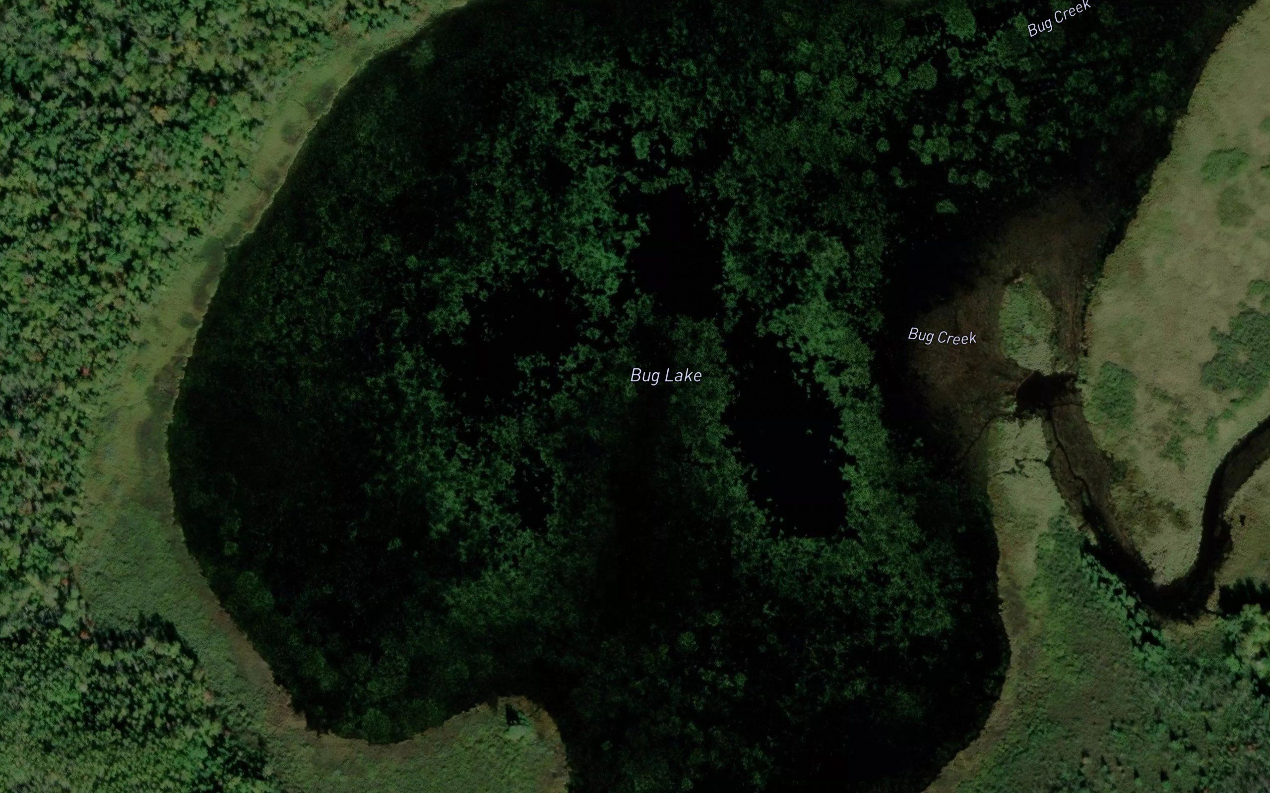 Bug Lake