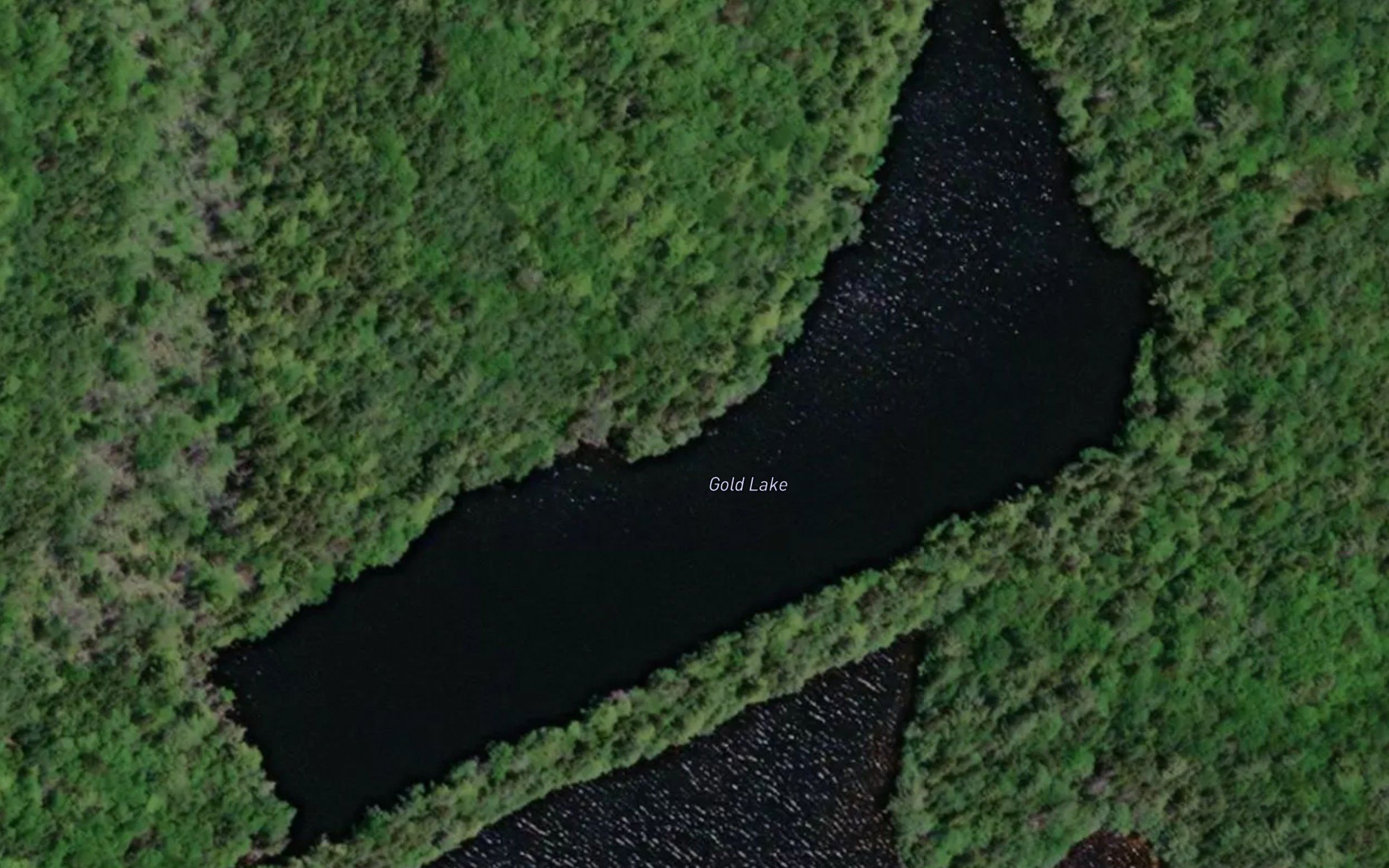 Gold Lake