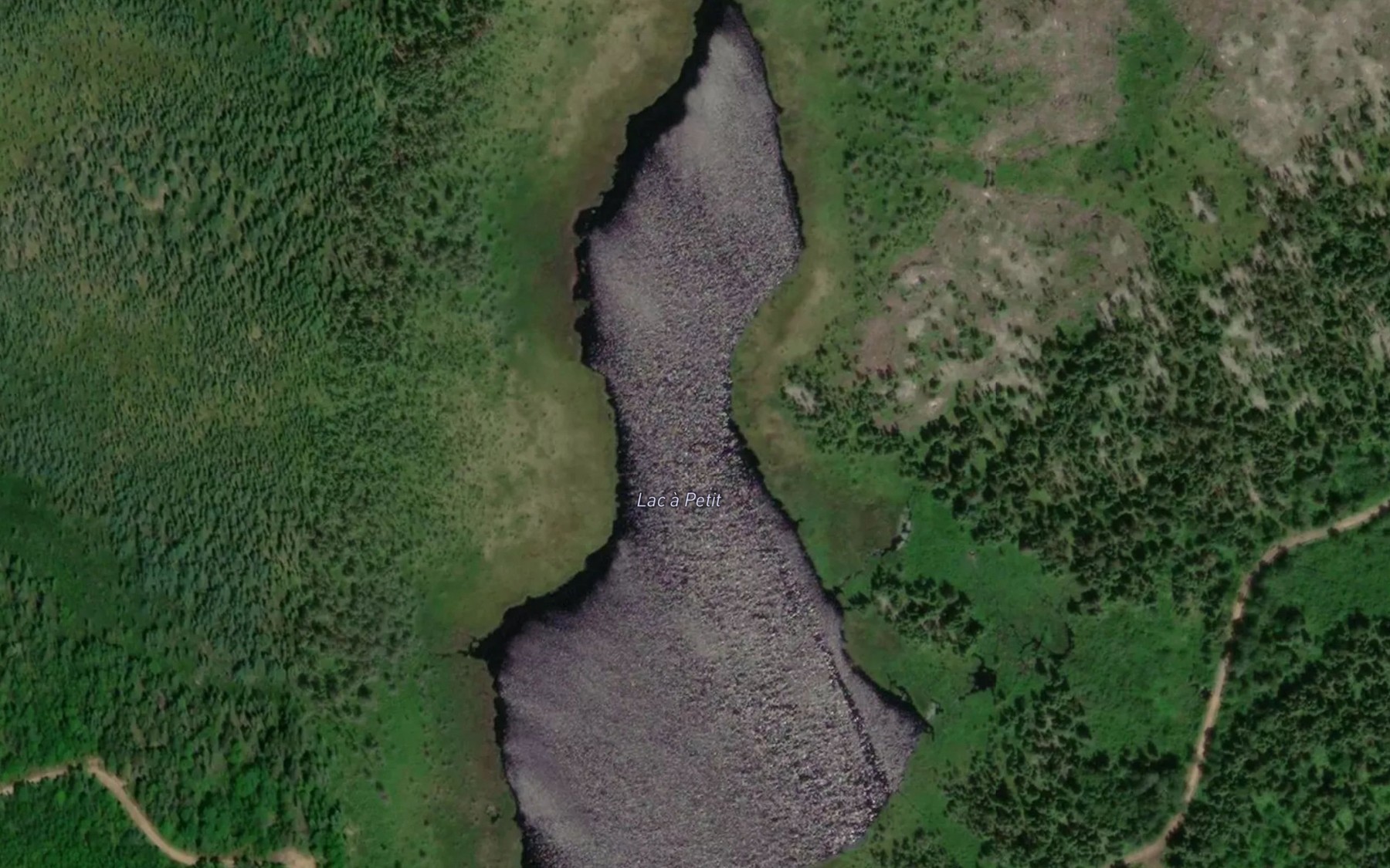Satellite map of the Lac a Petit
