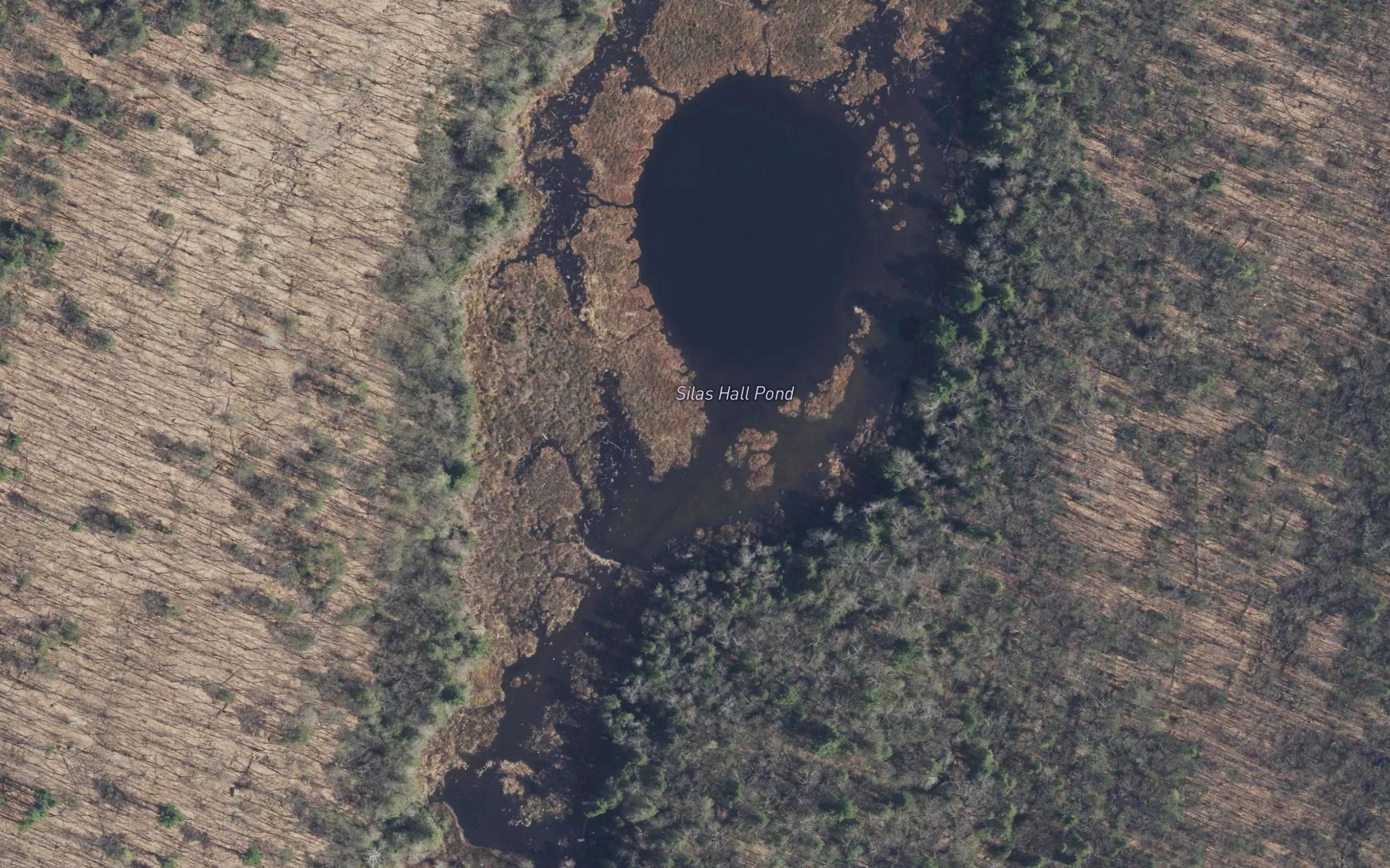 Silas Hall Pond