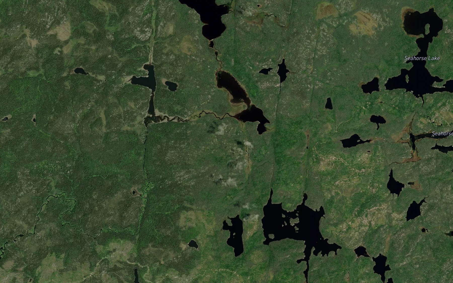 Satellite map of the Berryman Creek