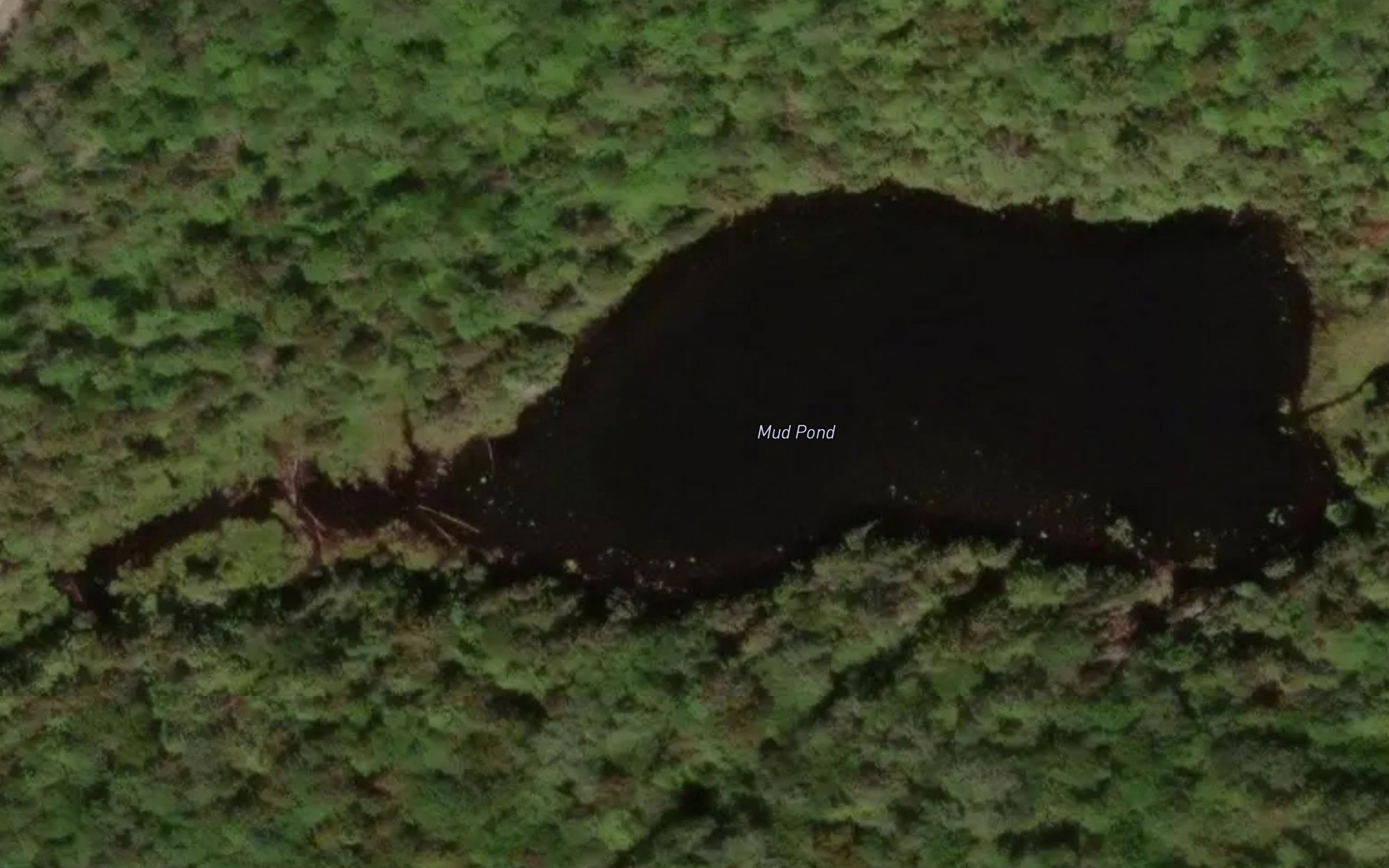 Mud Pond