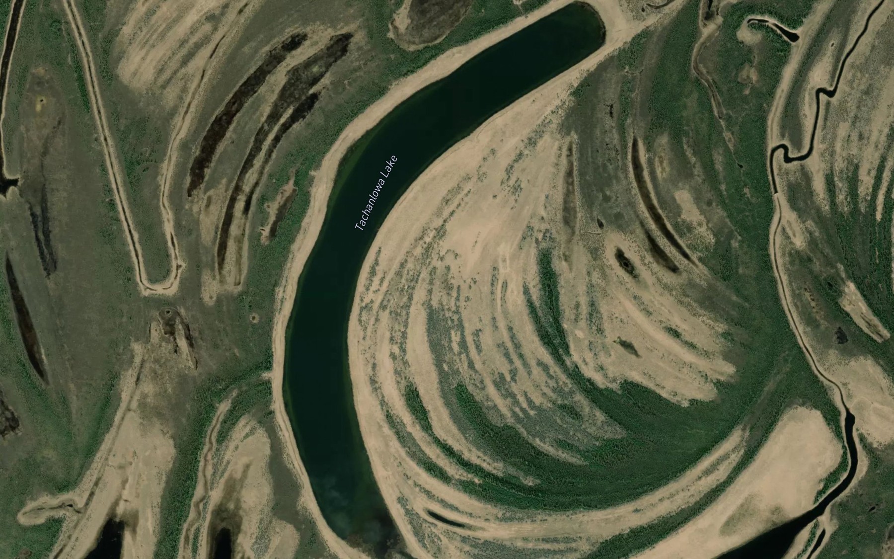 Satellite map of the Tachanlowa Lake