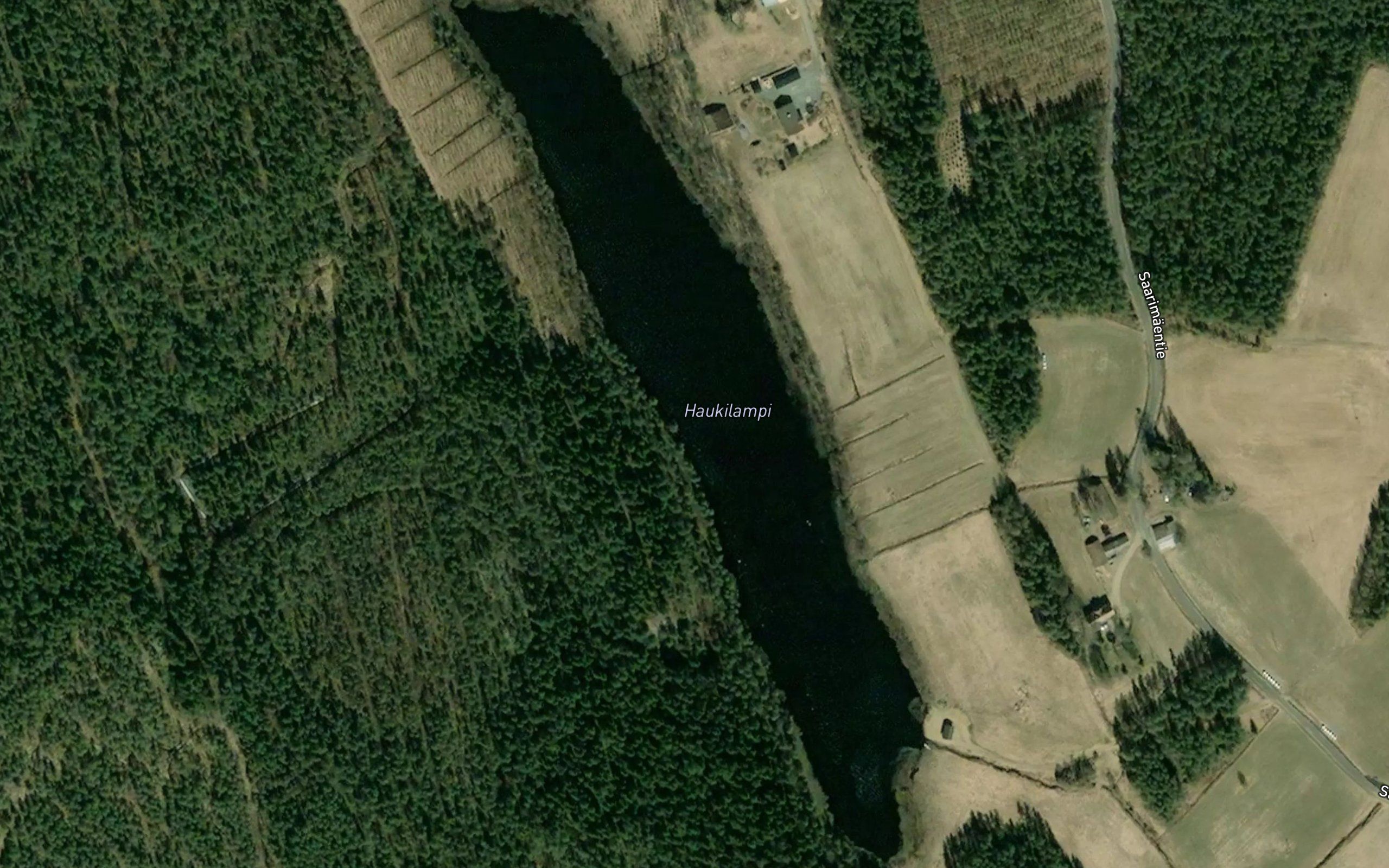 Haukilampi