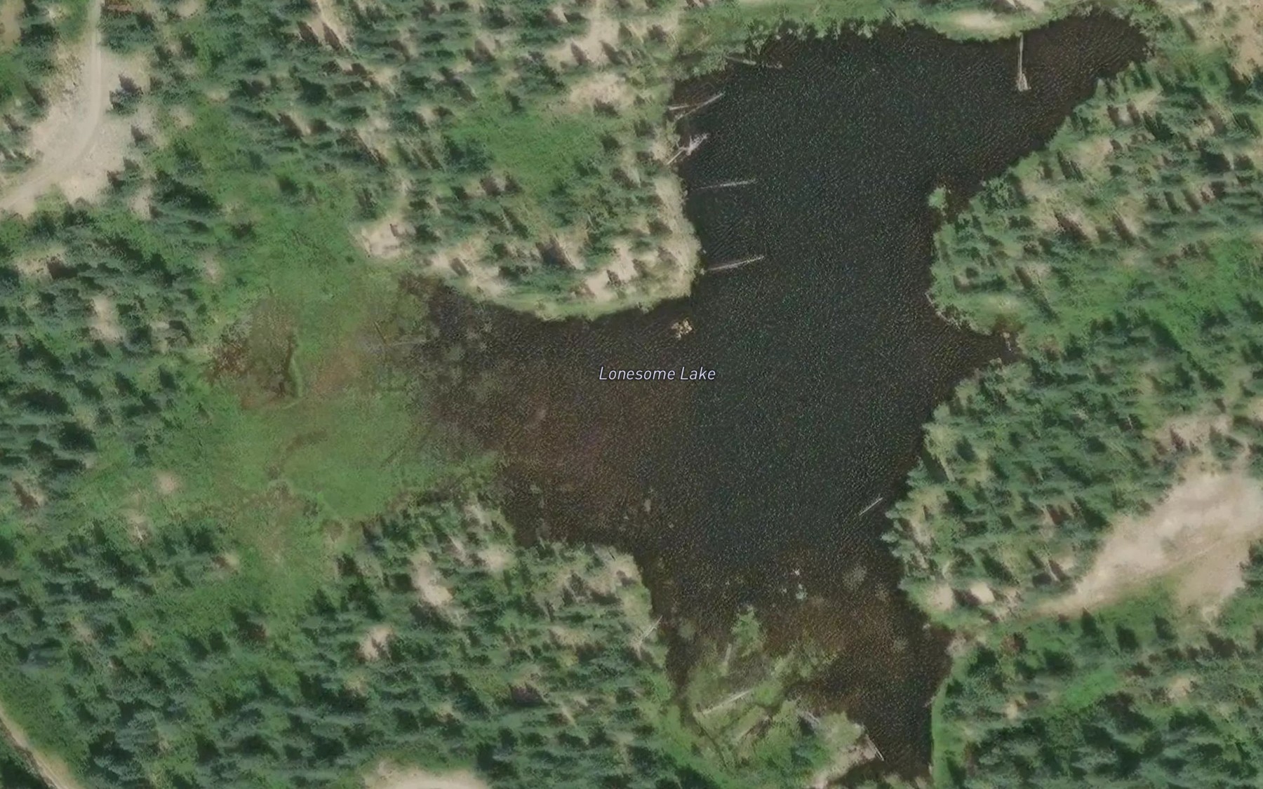 Satellite map of the Lonesome Lake