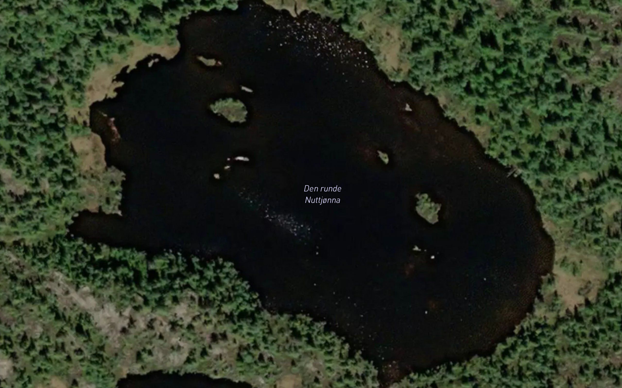Den runde Nuttjonna