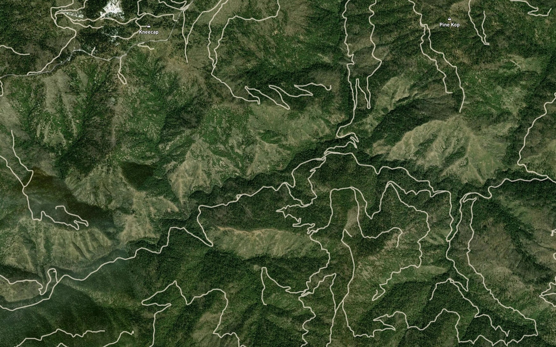 Satellite map of the Five Spring Creek
