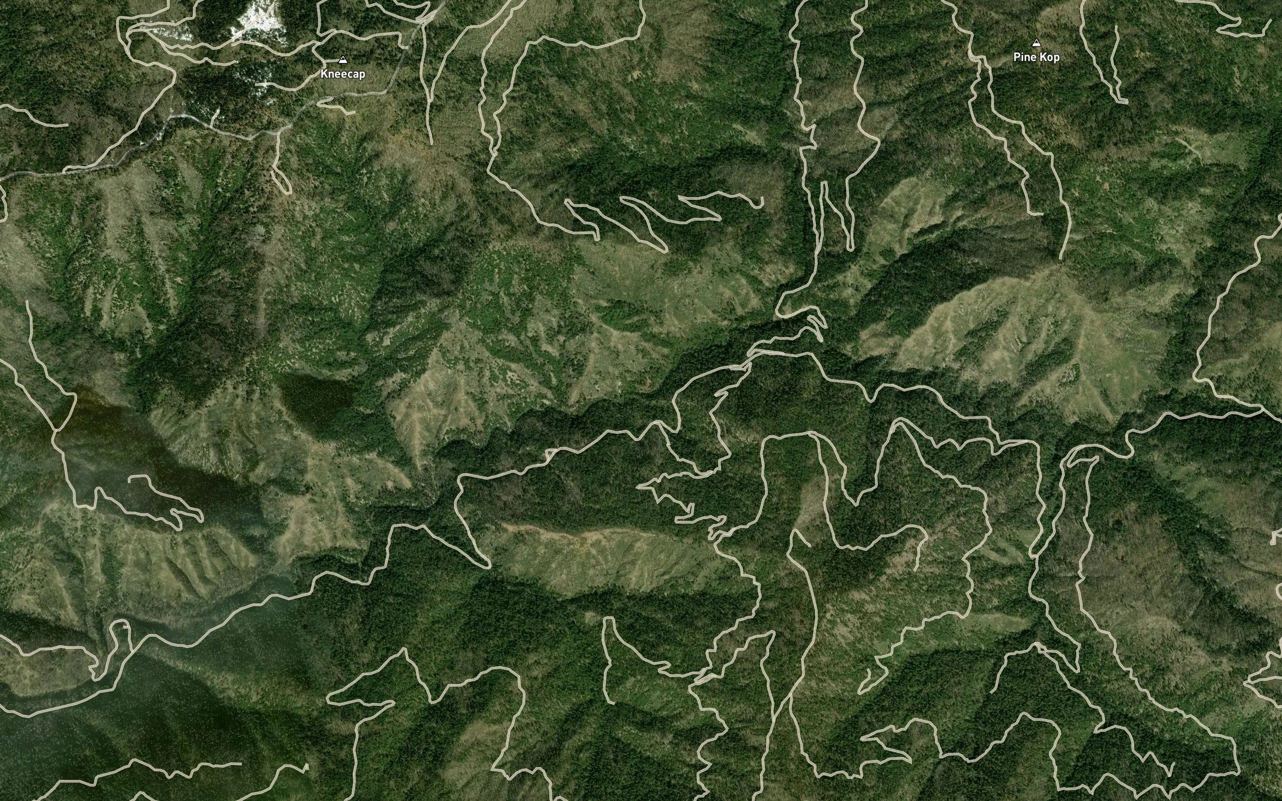 Five Spring Creek