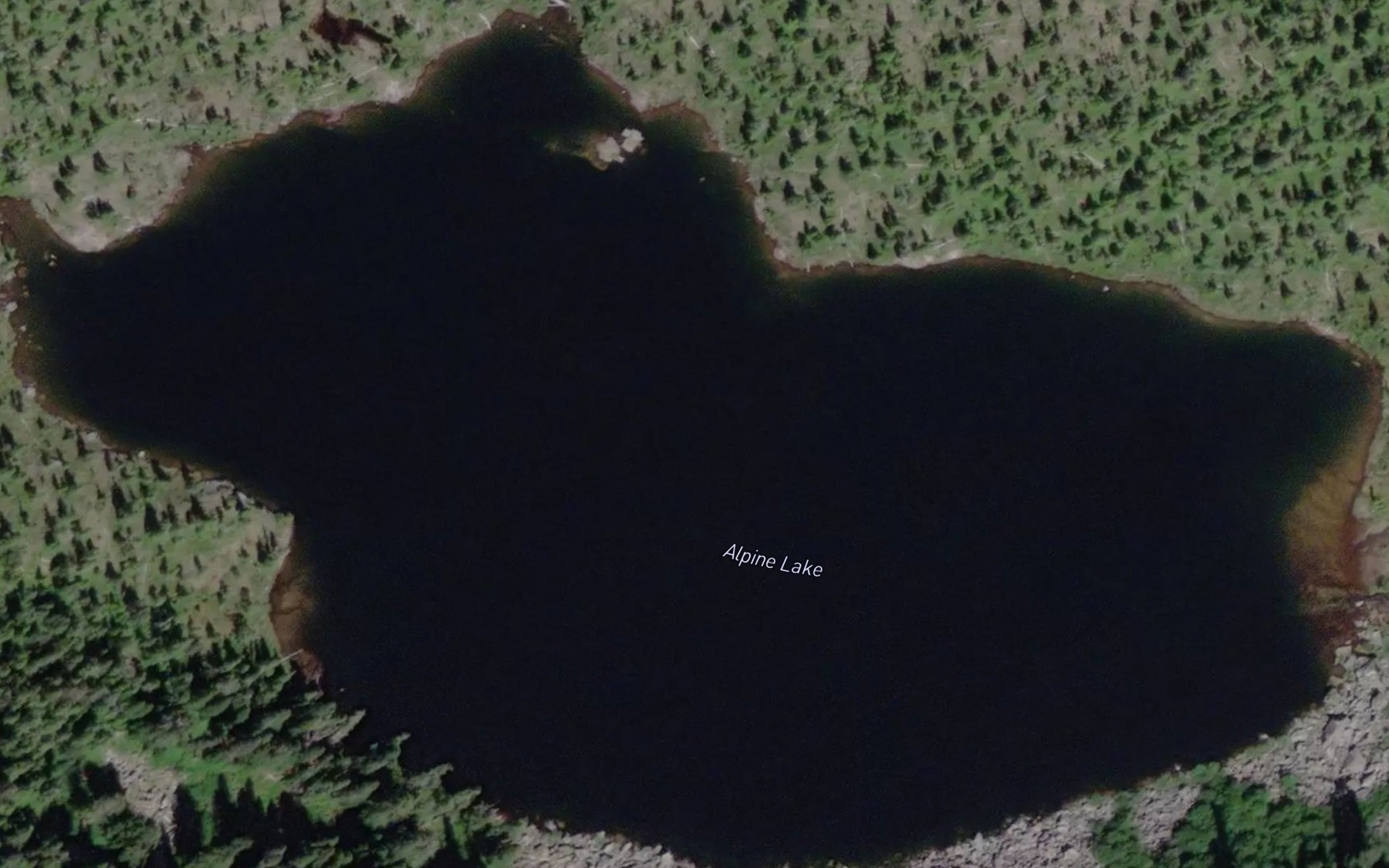 Satellite map of the Alpine Lake