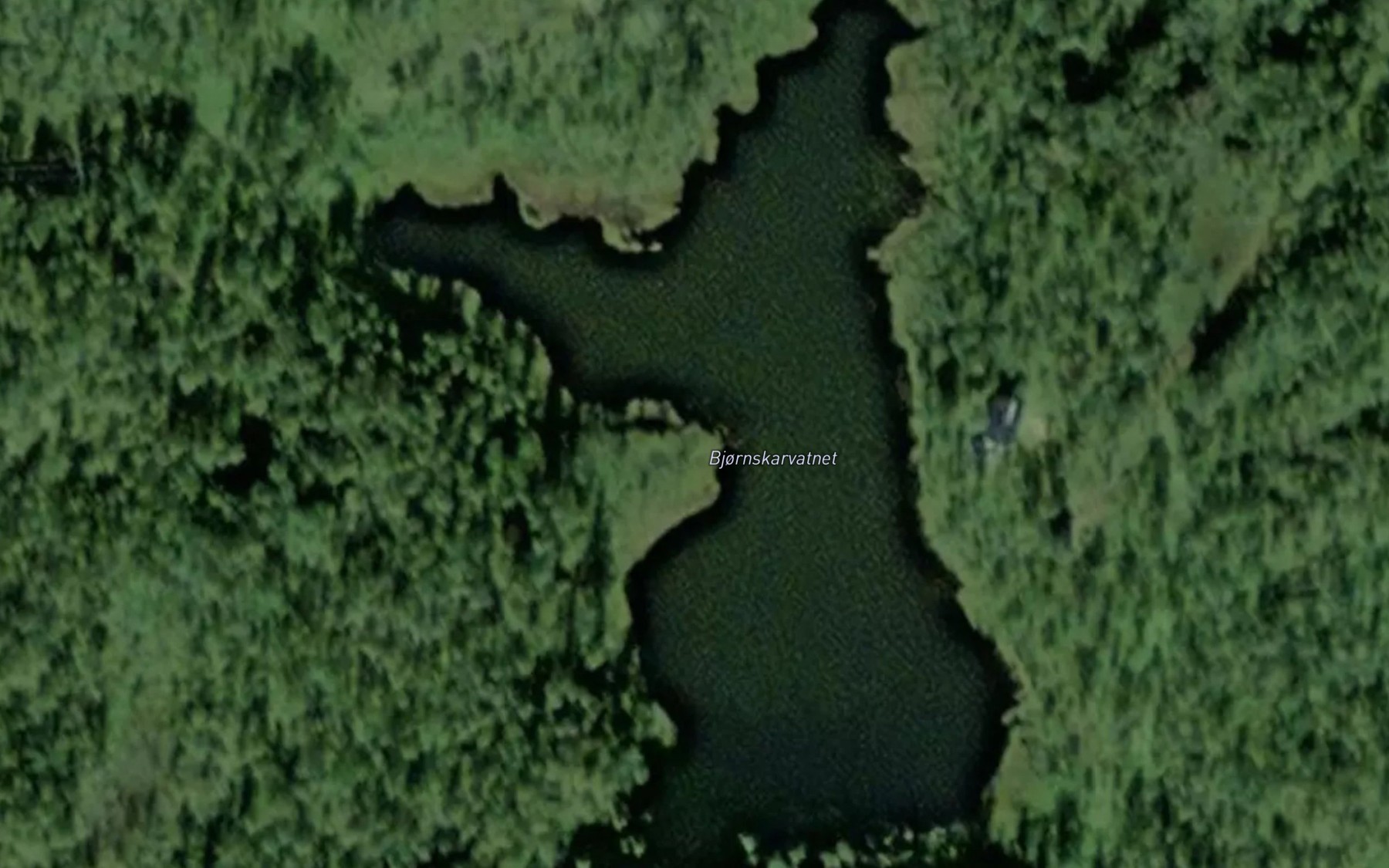 Satellite map of the Bjornskarvatnet