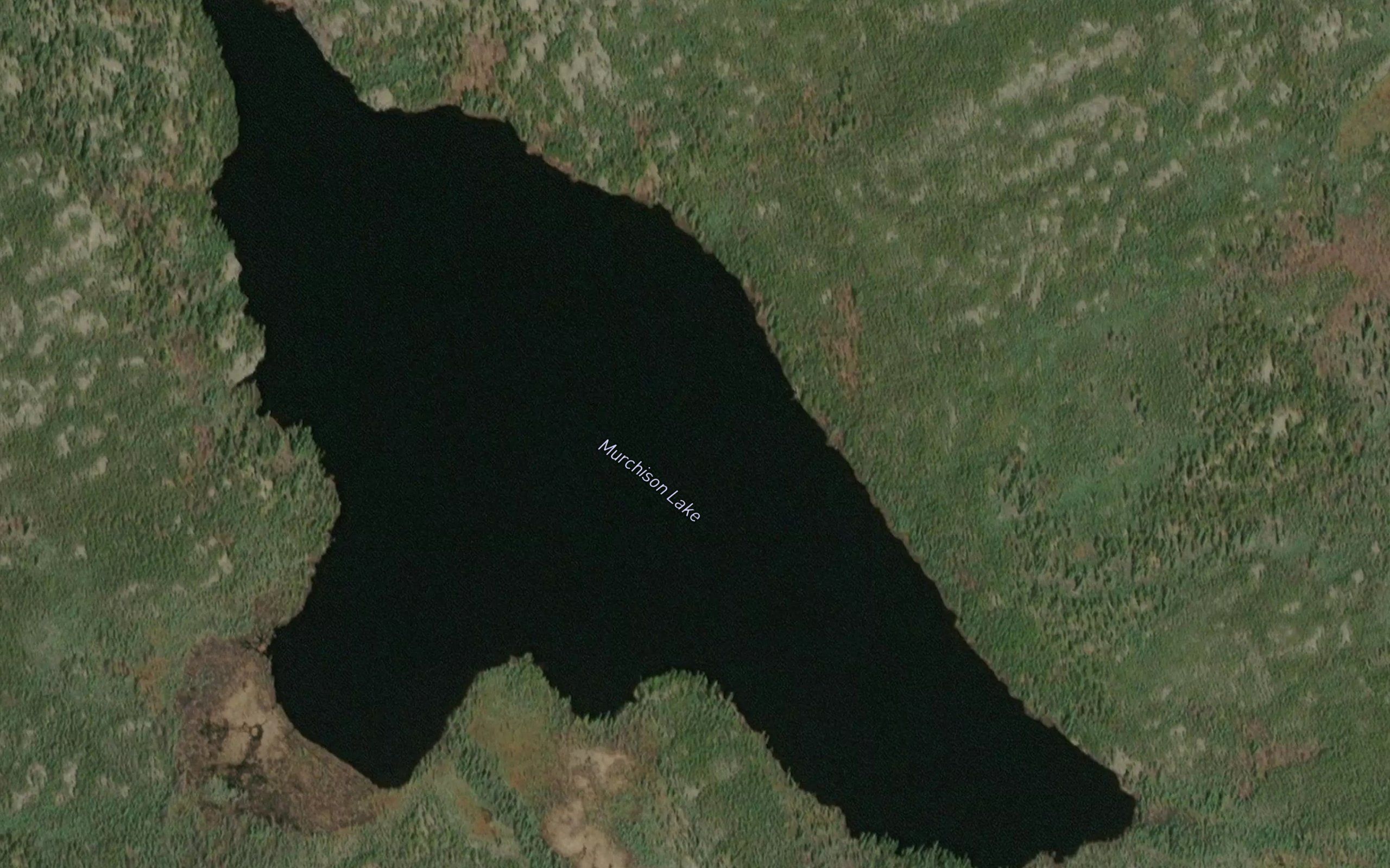 Murchison Lake