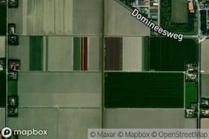 Professor Brandsmatocht