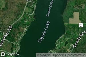 Cayuta Lake