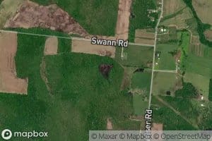 Grassy Pond