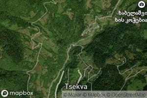 Naghvarevis Ts'q'ali