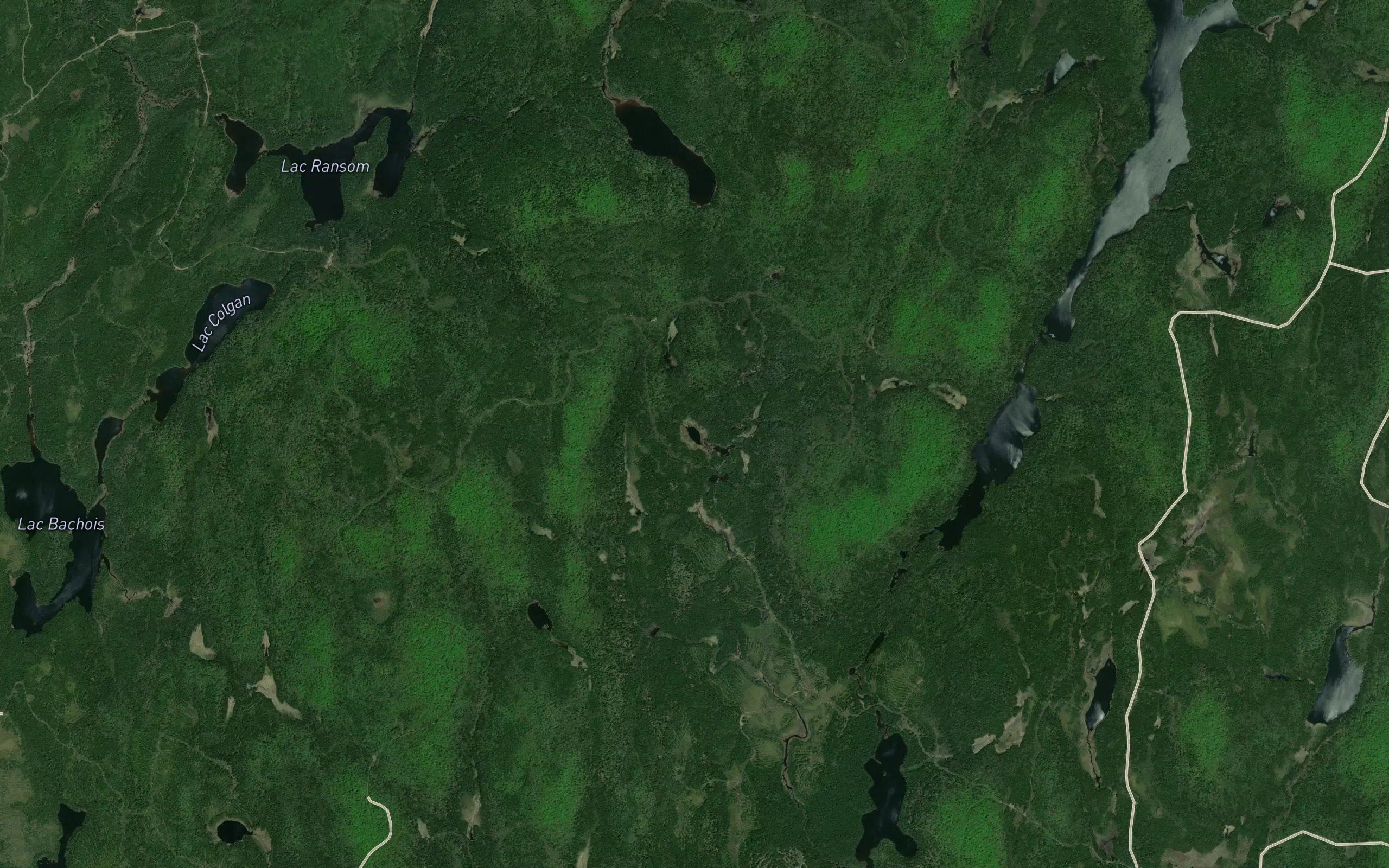 Lac Jain