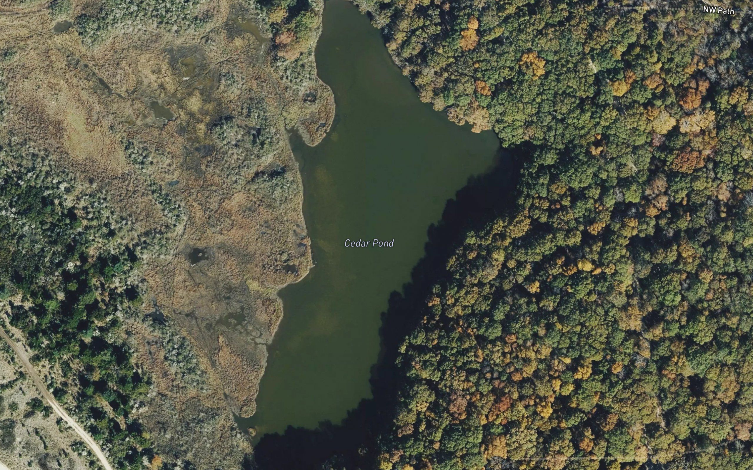 Cedar Pond